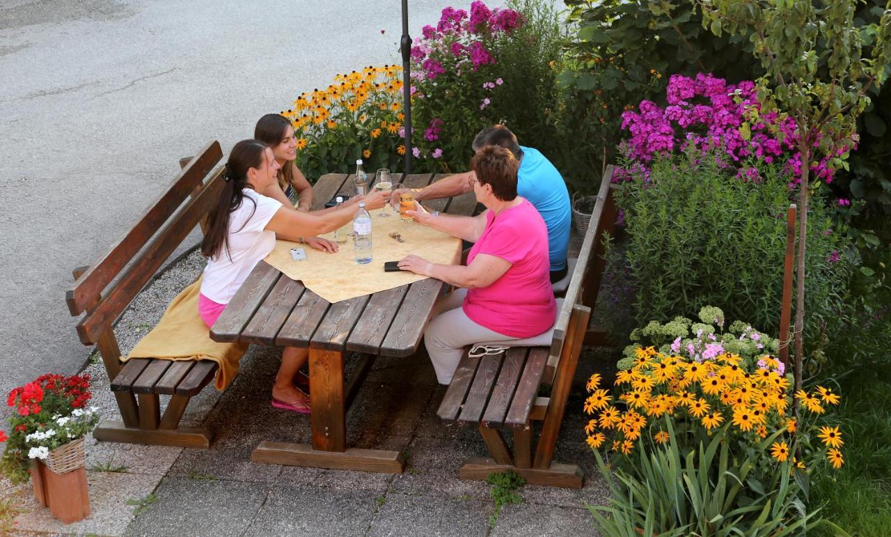 Apartments Haufhof , Haus Im Ennstal Bei Schladming Exteriör bild