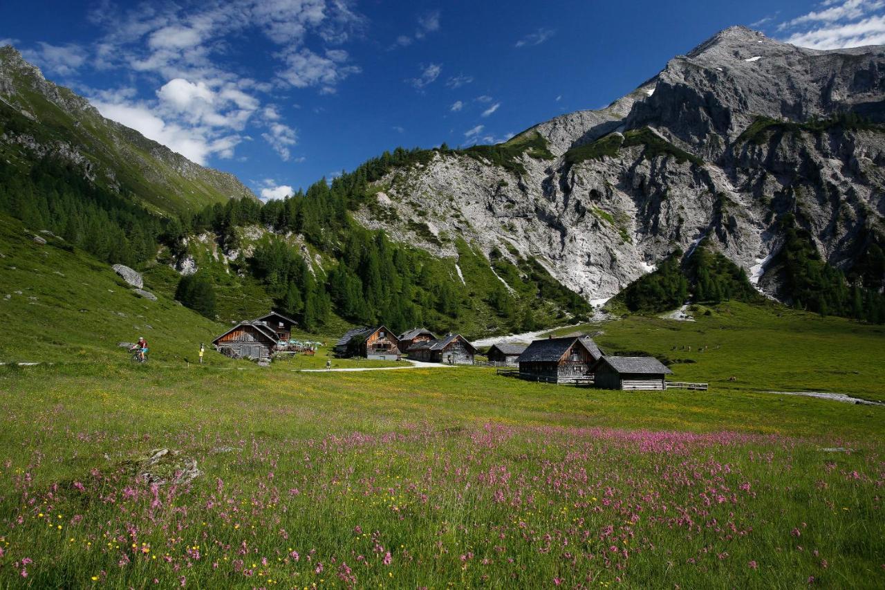 Apartments Haufhof , Haus Im Ennstal Bei Schladming Exteriör bild
